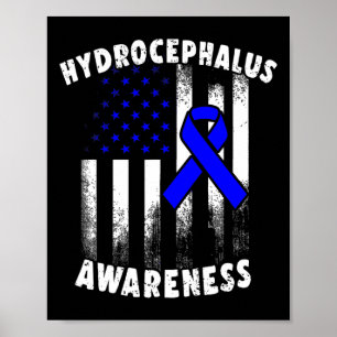 Hydrocephalus Survivor Plan Awareness Warrior  Poster