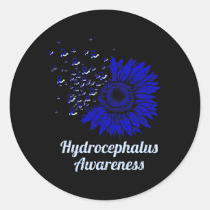 Hydrocephalus Survivor Proud Awareness Warrior 1 Classic Round Sticker