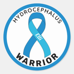 Hydrocephalus Warrior Ribbon White Round Sticker