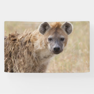 Hyena Banner