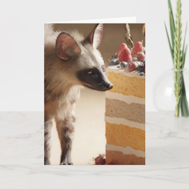 Hyena & Cake Curiosity Greeting Card (Front)