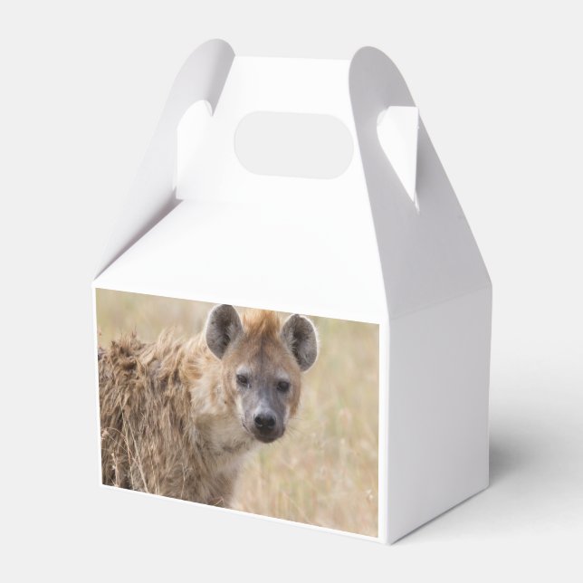 Hyena Favor Box (Back Side)