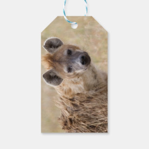 Hyena Gift Tags