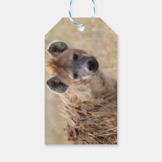 Hyena Gift Tags (Back)