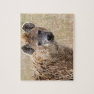 Hyena Jigsaw Puzzle