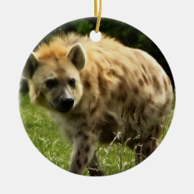 Hyena Ornament (Front)