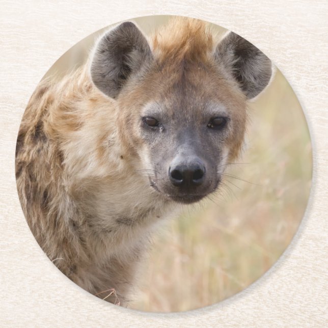 Hyena Round Paper Coaster (Front)