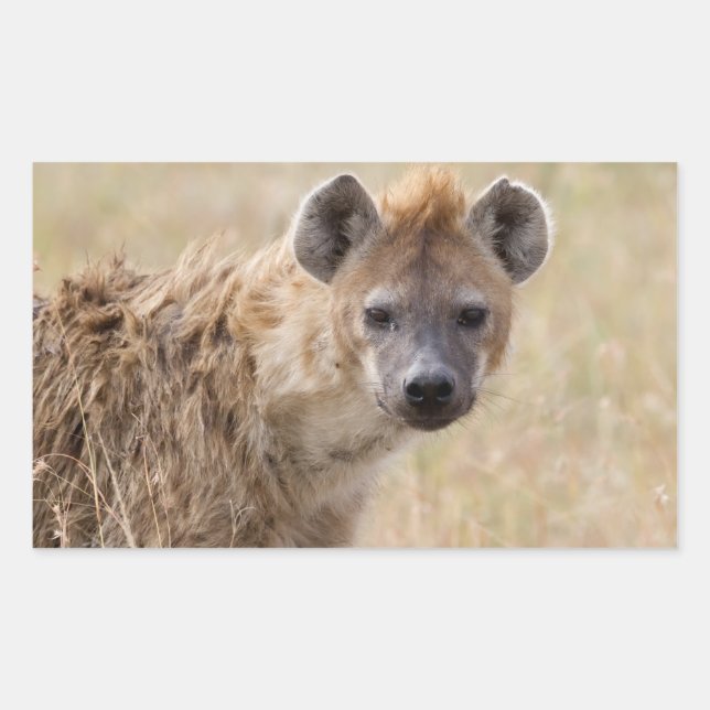 Hyena Sticker (Front)