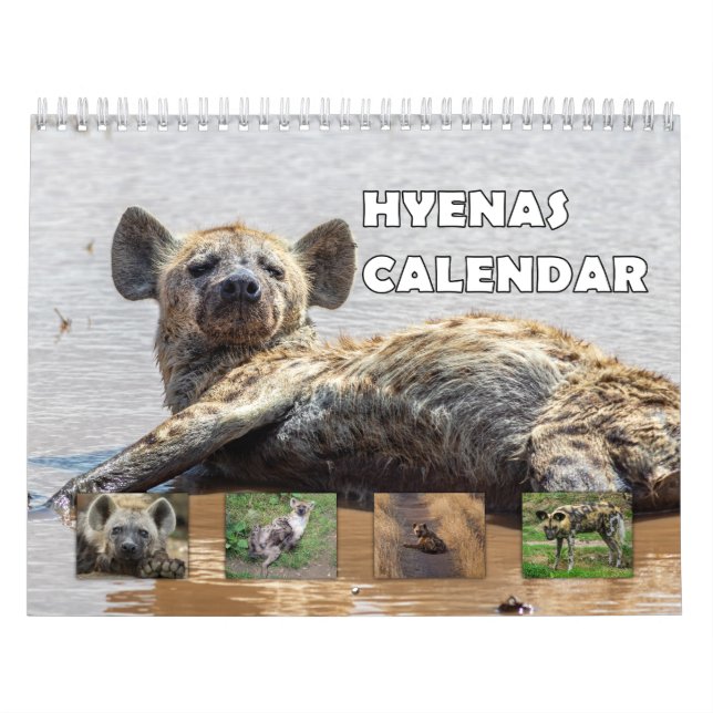 Hyenas Calendar (Cover)