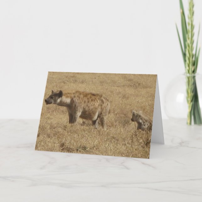 Hyenas Card (Front)