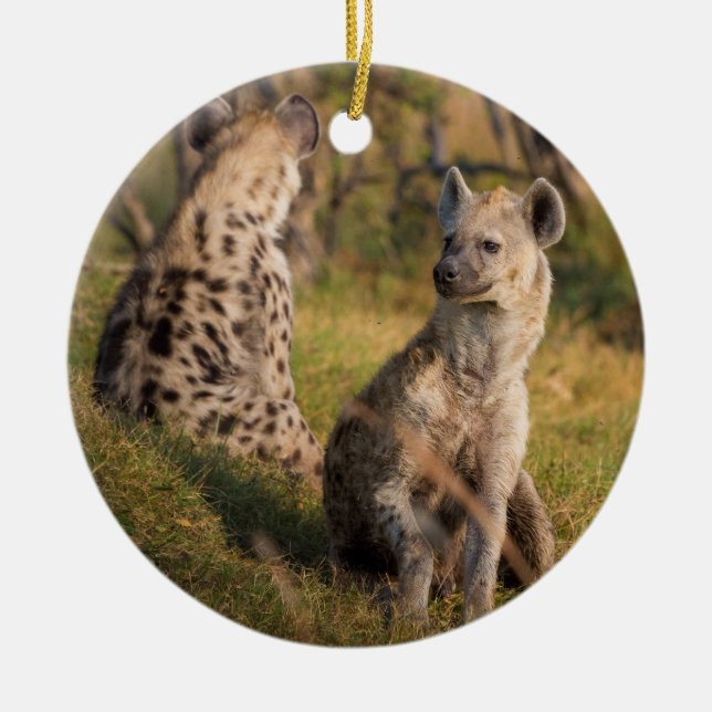 Hyenas Ceramic Ornament (Front)