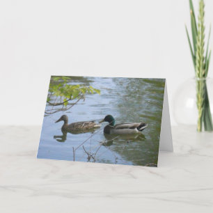 "Hyland May Day Mallards #2" Thank You Card
