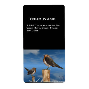 HYPER BIRDS / ROBIN RED BREAST