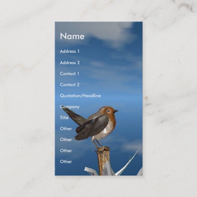 HYPER BIRDS / ROBIN RED BREAST BUSINESS CARD (Front)