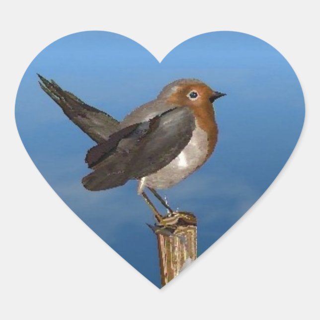HYPER BIRDS / ROBIN RED BREAST HEART STICKER (Front)