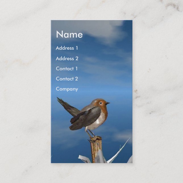 HYPER BIRDS / ROBIN RED BREAST MONOGRAM BUSINESS CARD (Front)