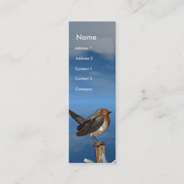 HYPER BIRDS / ROBIN RED BREAST MONOGRAM MINI BUSINESS CARD (Front)