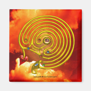 HYPER LABYRINTH MAGNET