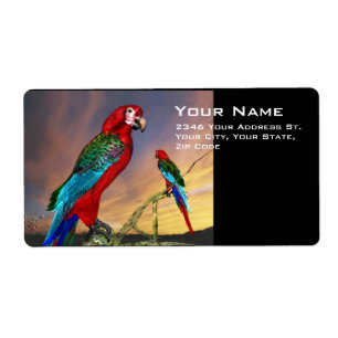 HYPER PARROTS / BLUE ARA