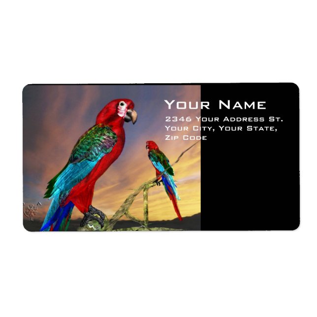 HYPER PARROTS / BLUE ARA (Front)