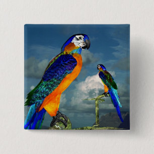 HYPER PARROTS / BLUE ARA 2 INCH SQUARE BUTTON