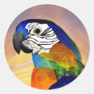HYPER PARROTS / BLUE ARA CLASSIC ROUND STICKER