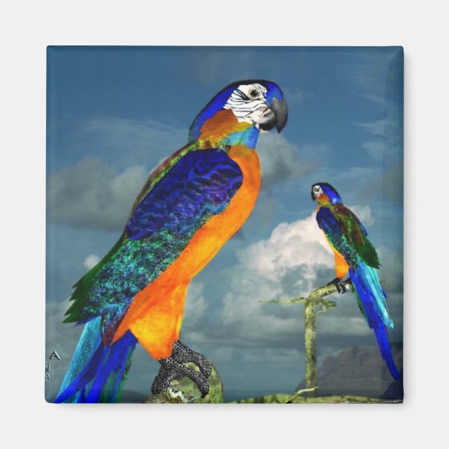 HYPER PARROTS / BLUE ARA MAGNET (Front)