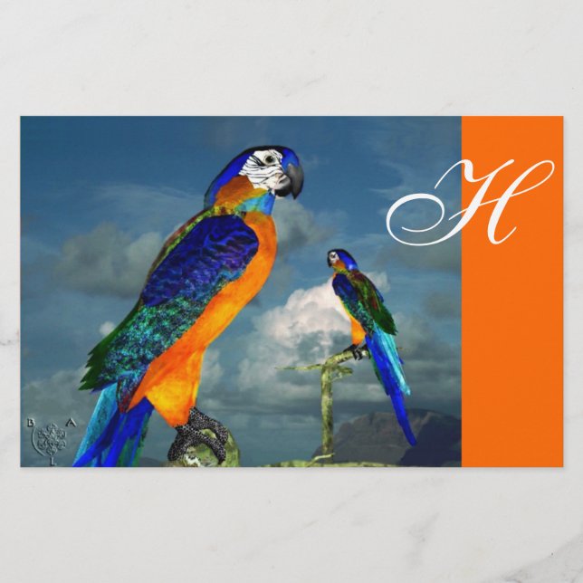 HYPER PARROTS / BLUE ARA  MONOGRAM, orange Stationery (Front)