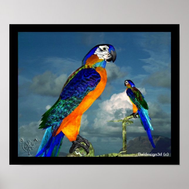 HYPER PARROTS / BLUE ARA POSTER (Front)