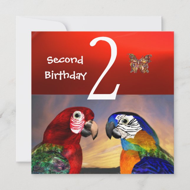 HYPER PARROTS / First Birthday Party, Red Invitation (Front)