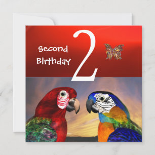 HYPER PARROTS / First Birthday Party, Red Invitation
