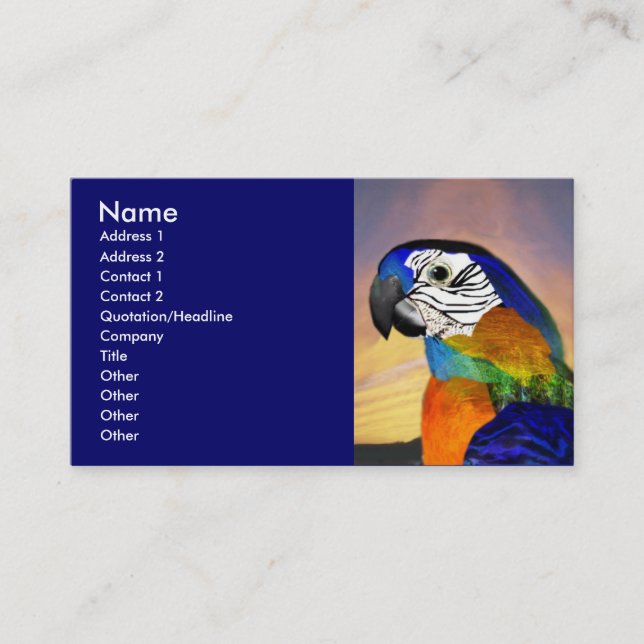 HYPER PARROTS / RED AND BLUE ARA BUSINESS CARD (Front)