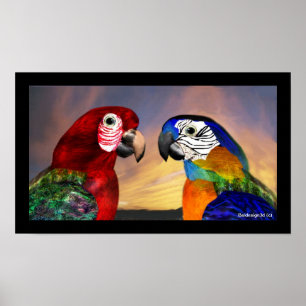 HYPER PARROTS / RED AND BLUE ARA POSTER