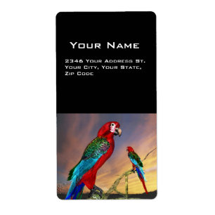 HYPER PARROTS / RED ARA