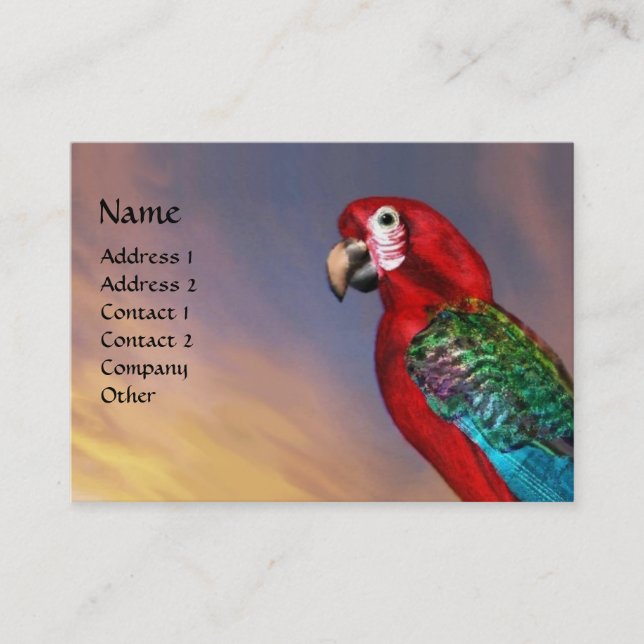 HYPER PARROTS / RED ARA BUSINESS CARD (Front)