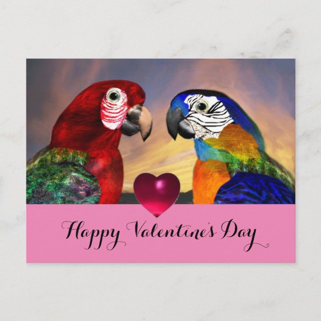 HYPER PARROTS,RED BLUE MACAWS Valentine's Day Love Holiday Postcard (Front)