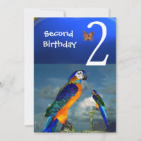 HYPER PARROTS / Second Birthday Party