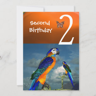 HYPER PARROTS / Second Birthday Party Orange Blue Invitation