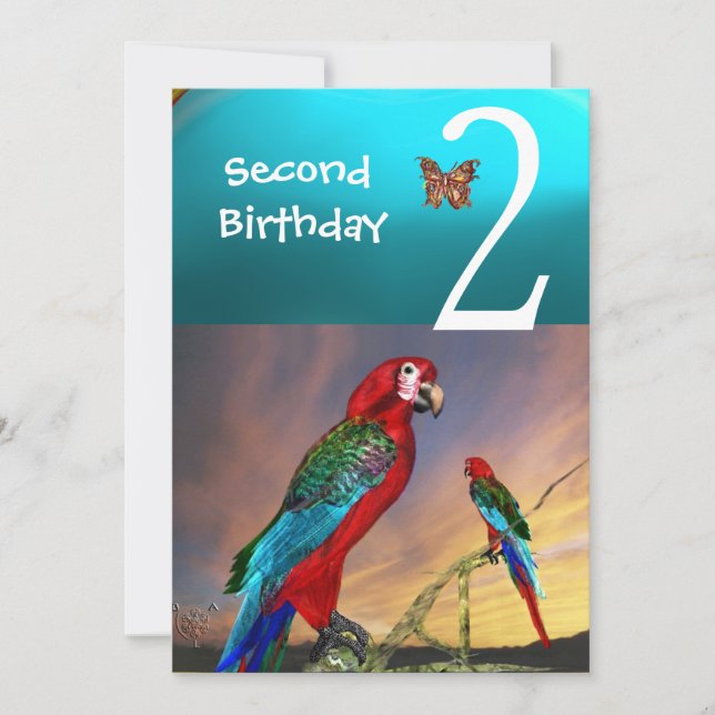 HYPER PARROTS / Second Birthday Party Turquase Invitation (Front)