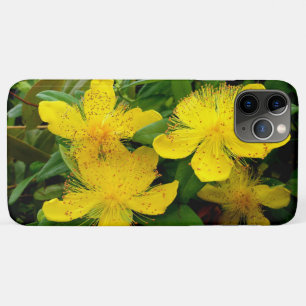 Hypericum calycinum iPhone 11 pro max case