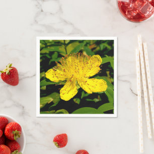 Hypericum calycinum Paper Napkins