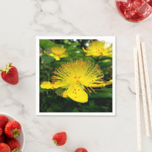 Hypericum calycinum Paper Napkins