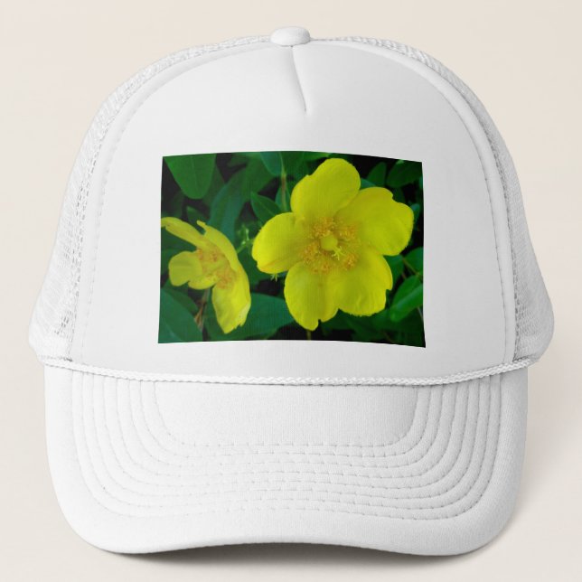 Hypericum Hat (Front)