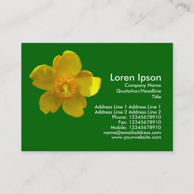 Hypericum Hidcote (St. John's Wort) Grass Green Business Card (Front)