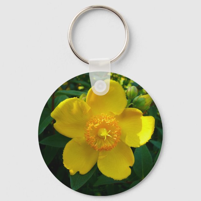 Hypericum Hidcote (St. John's Wort) Keychain (Front)