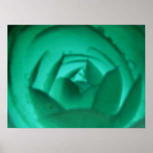 Hypnotic Camellia Flower Print