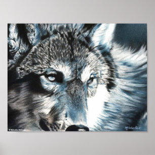 Hypnotique - Affiche de loup