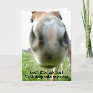 Hypnotiseur de cheval avec carte d'anniversaire pl
