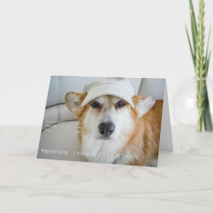 Hypnotizing Corgi birthday card