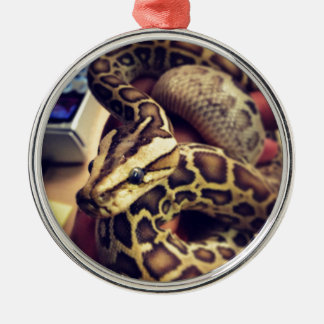 Hypo baby burmese python photo design. metal ornament